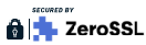 modified ZeroSSL logo